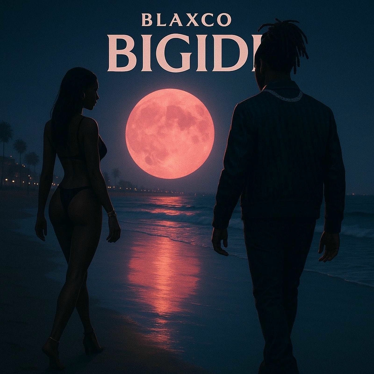 Album cover of Bigidi