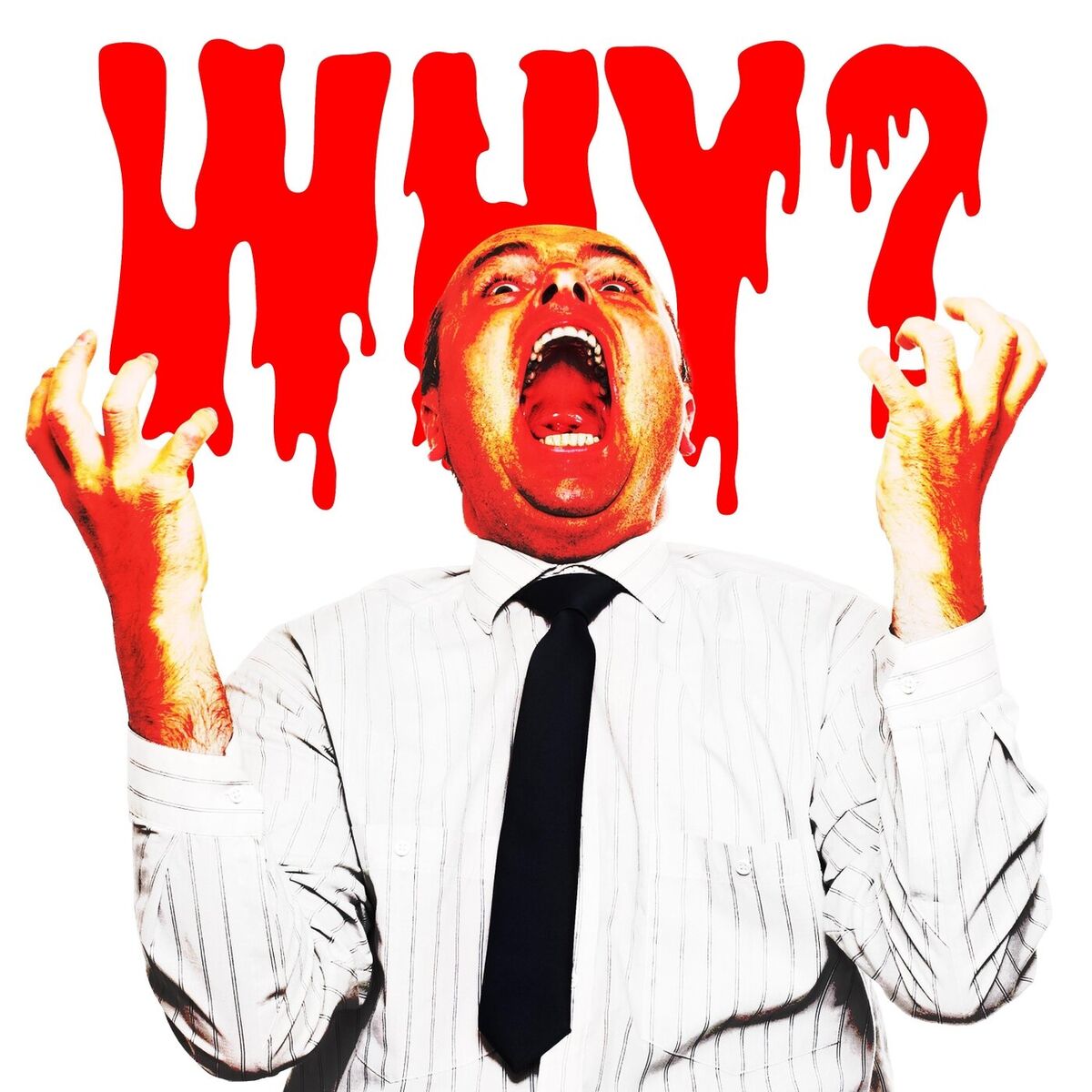 Album cover of Why?
