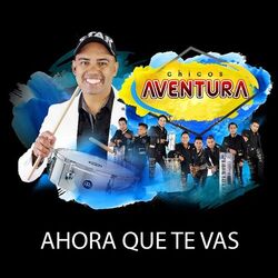 Cover of Ahora Que Te Vas