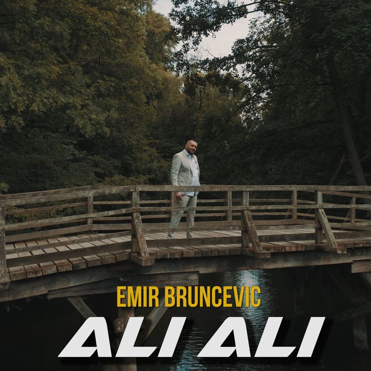 Album cover of Ali Ali