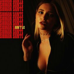 Cover of Didn't Lie