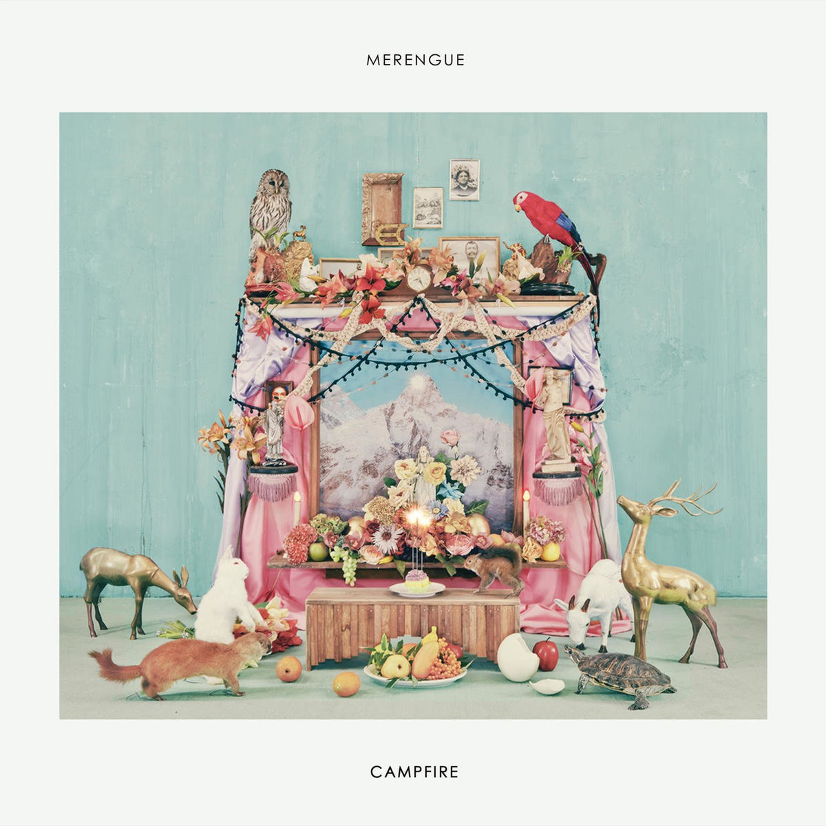 Album cover of CAMPFIRE