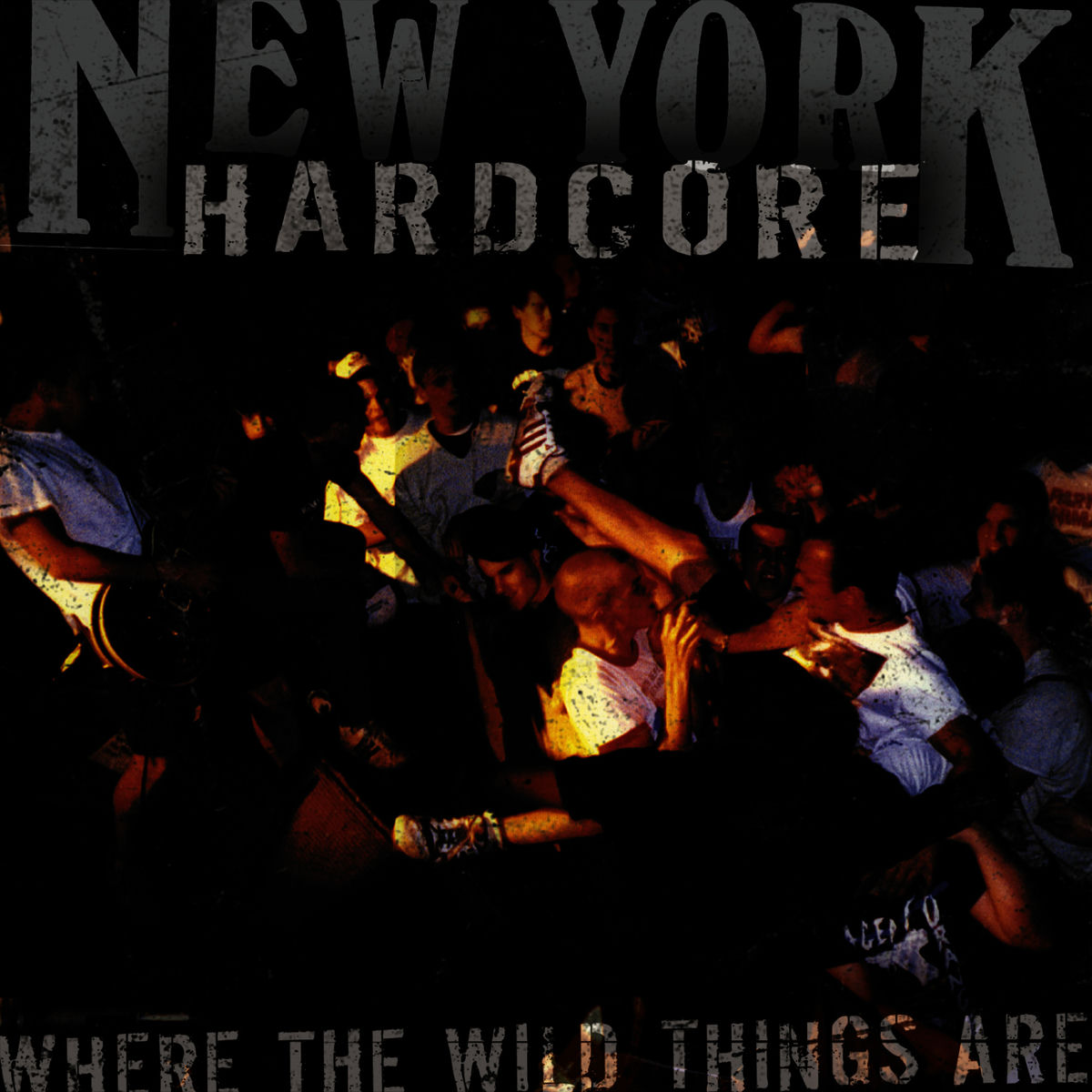 Album cover of The Hard Way