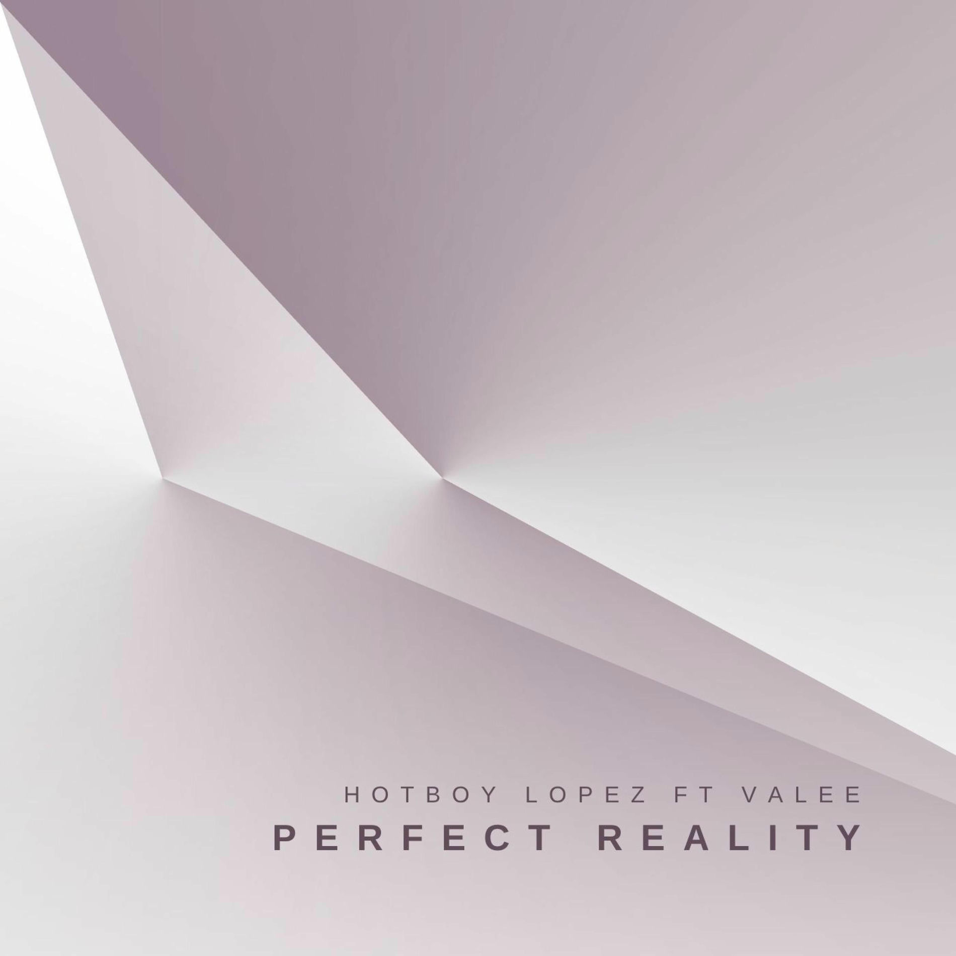 Album cover of perfect realıty (feat. Valee)
