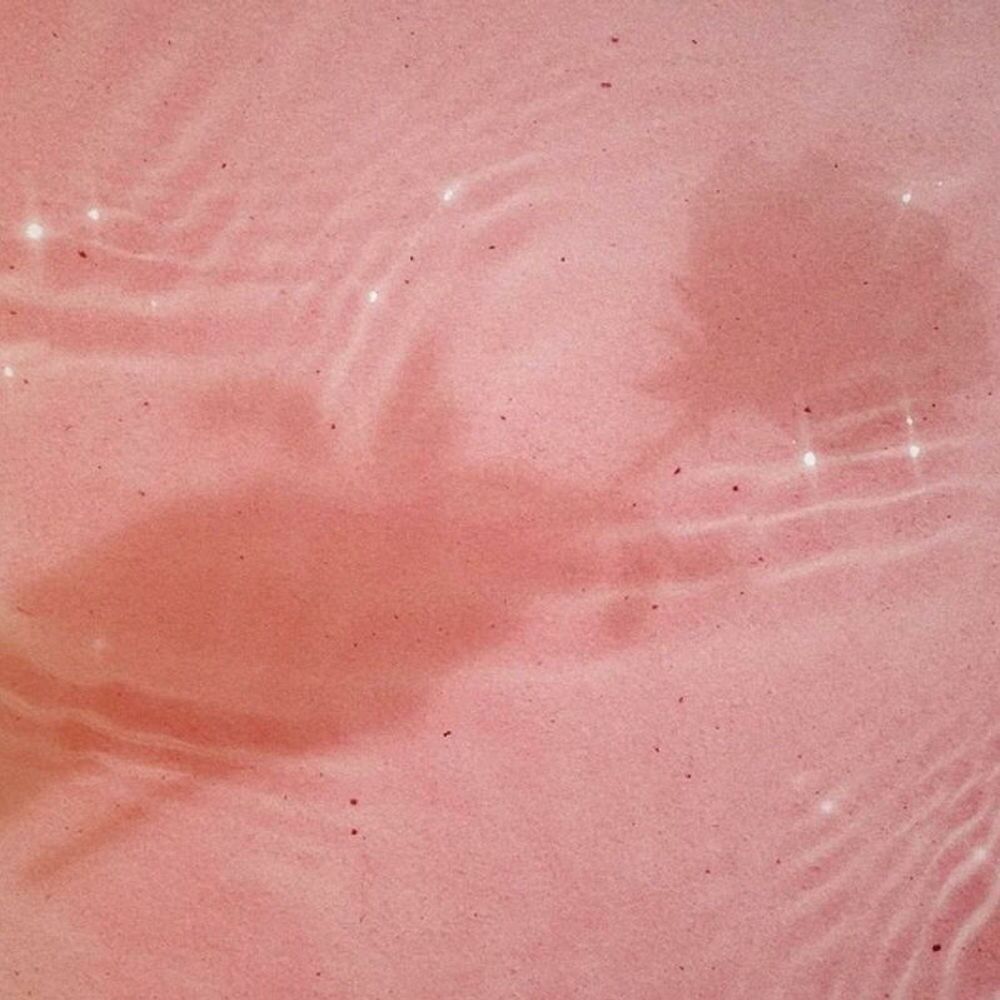 Picture of LuvBomb