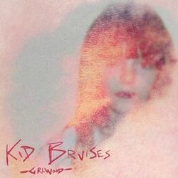 Cover of Kid Bruises