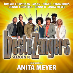 Beste Zangers Seizoen 10 (Aflevering 6 - Hoofdartiest Anita Meyer)