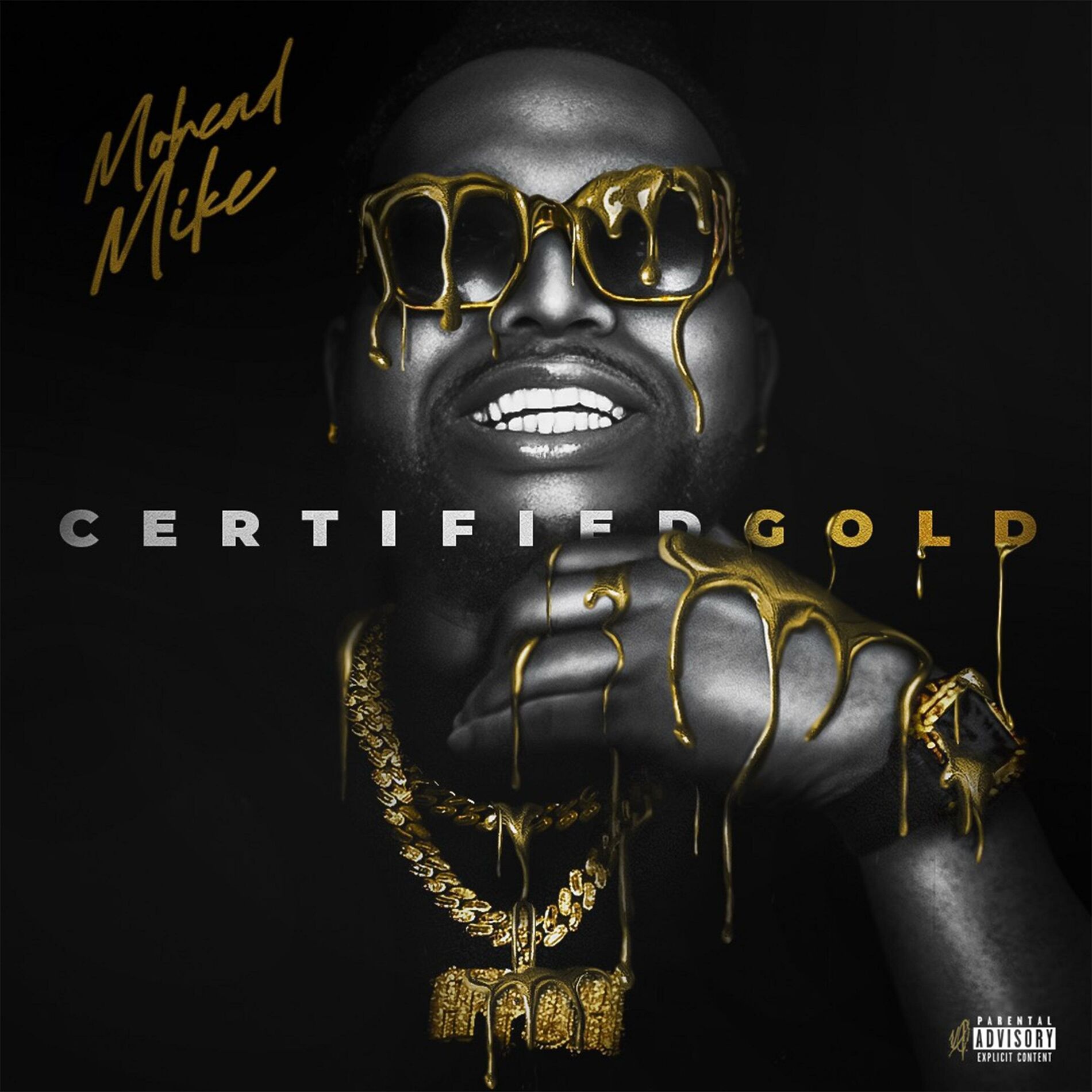 Album cover of Certified Gold