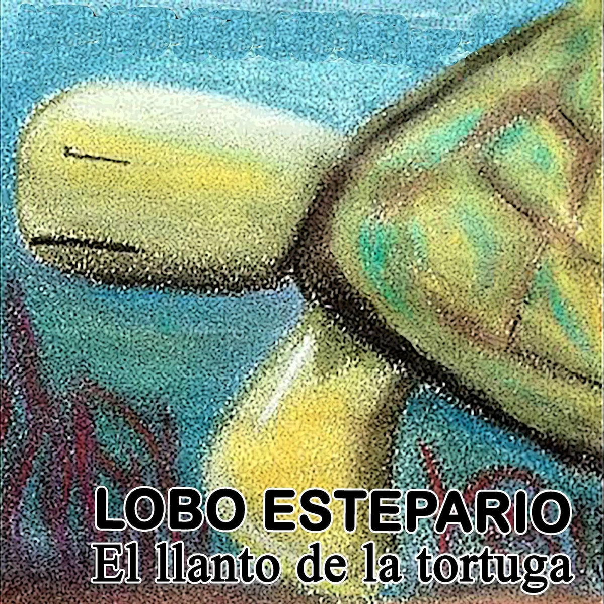 Album cover of El Llanto de la Tortuga
