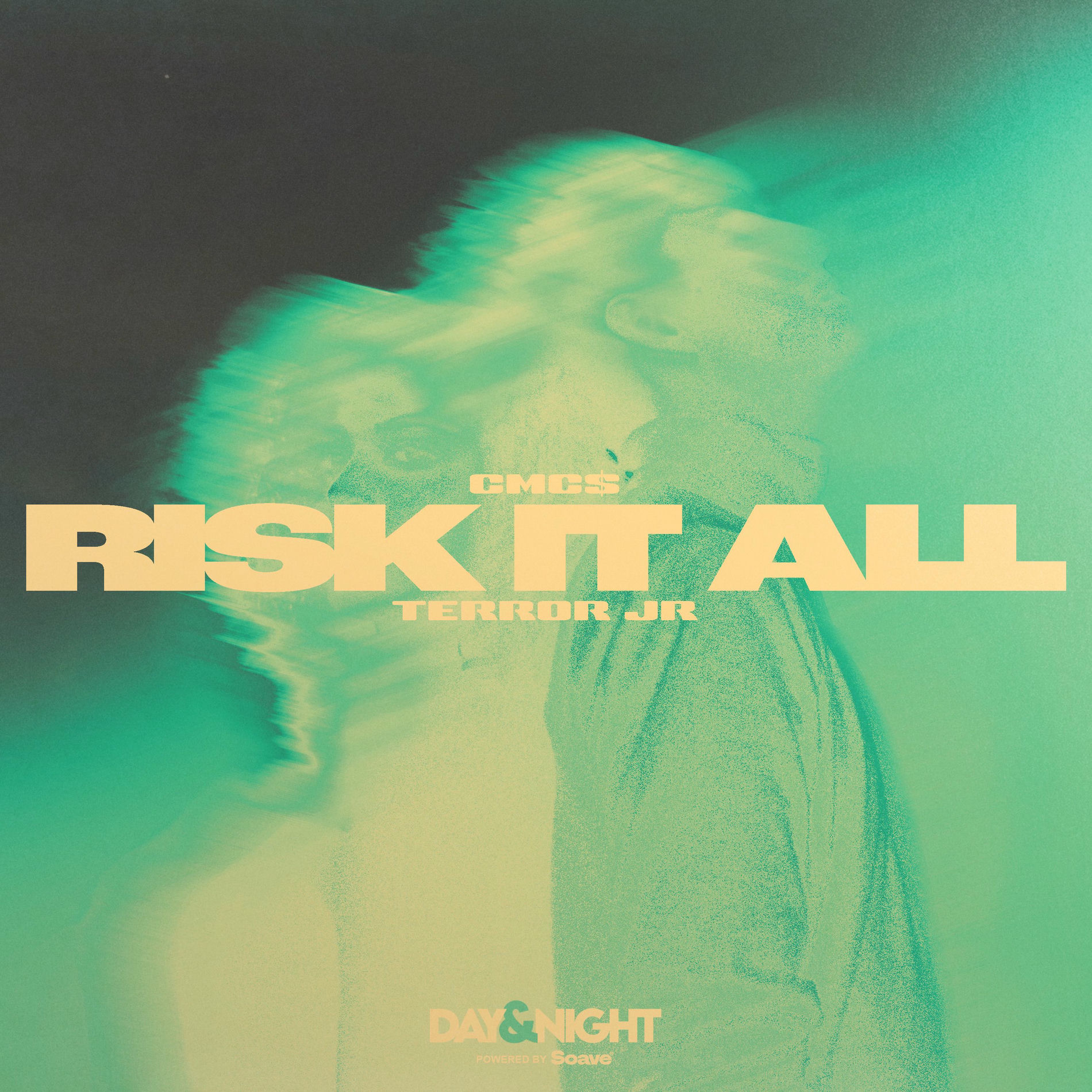 Album cover of Risk It All