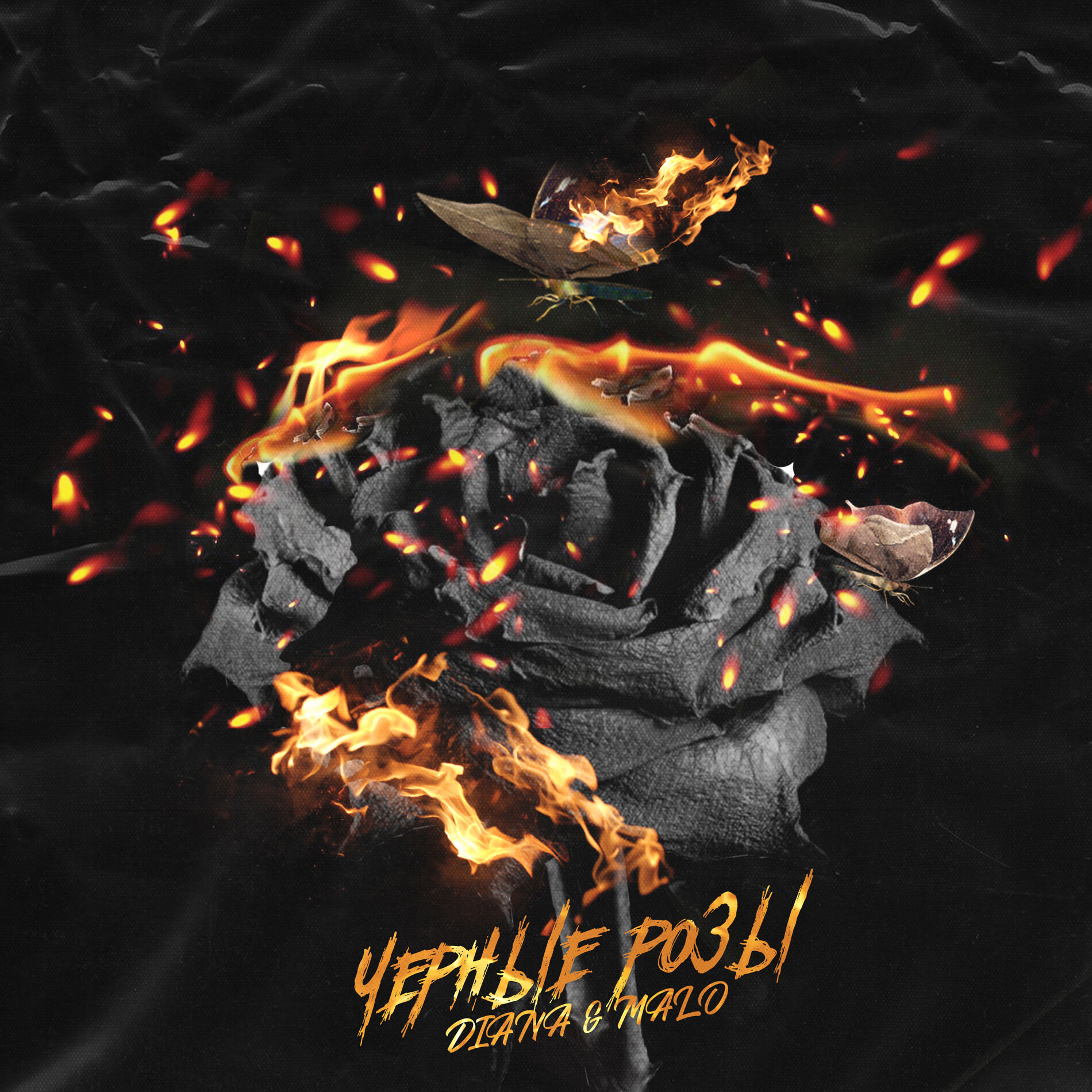 Album cover of Black Roses