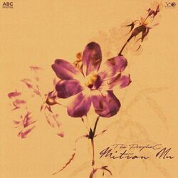 Cover of Mitran Nu