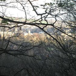 Cover of Chimneys Etc / Return to Branch