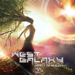 Cover of Aspect Of Reality