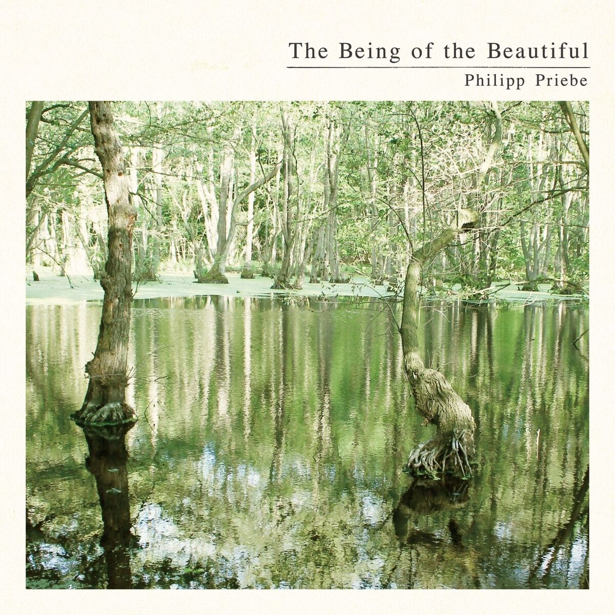 Album cover of The Being of the Beautiful