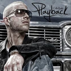 Cover of Playback