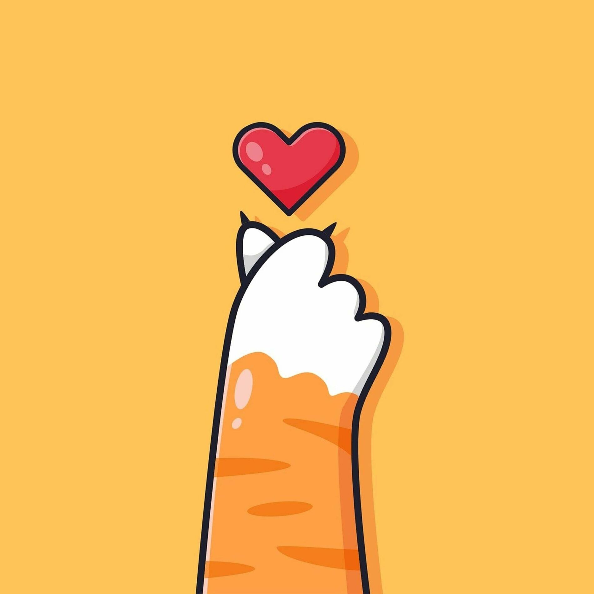 Album cover of Gatito