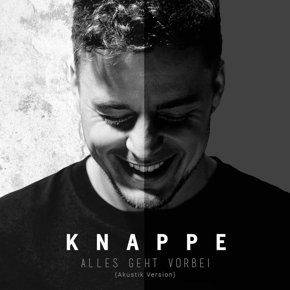 Album cover of Alles geht vorbei (Akustik Version)