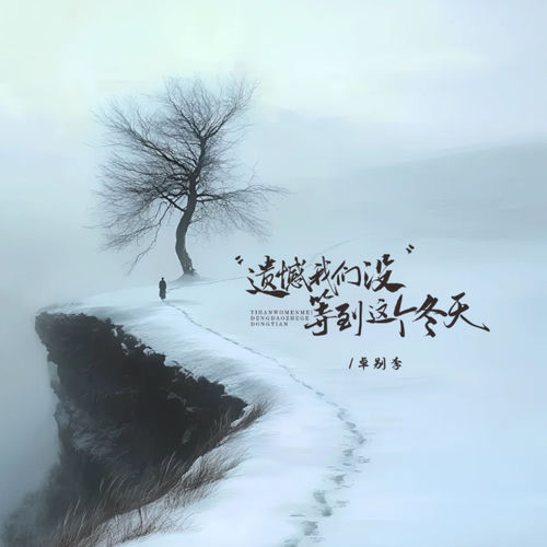 遗憾我们没等到这个冬天