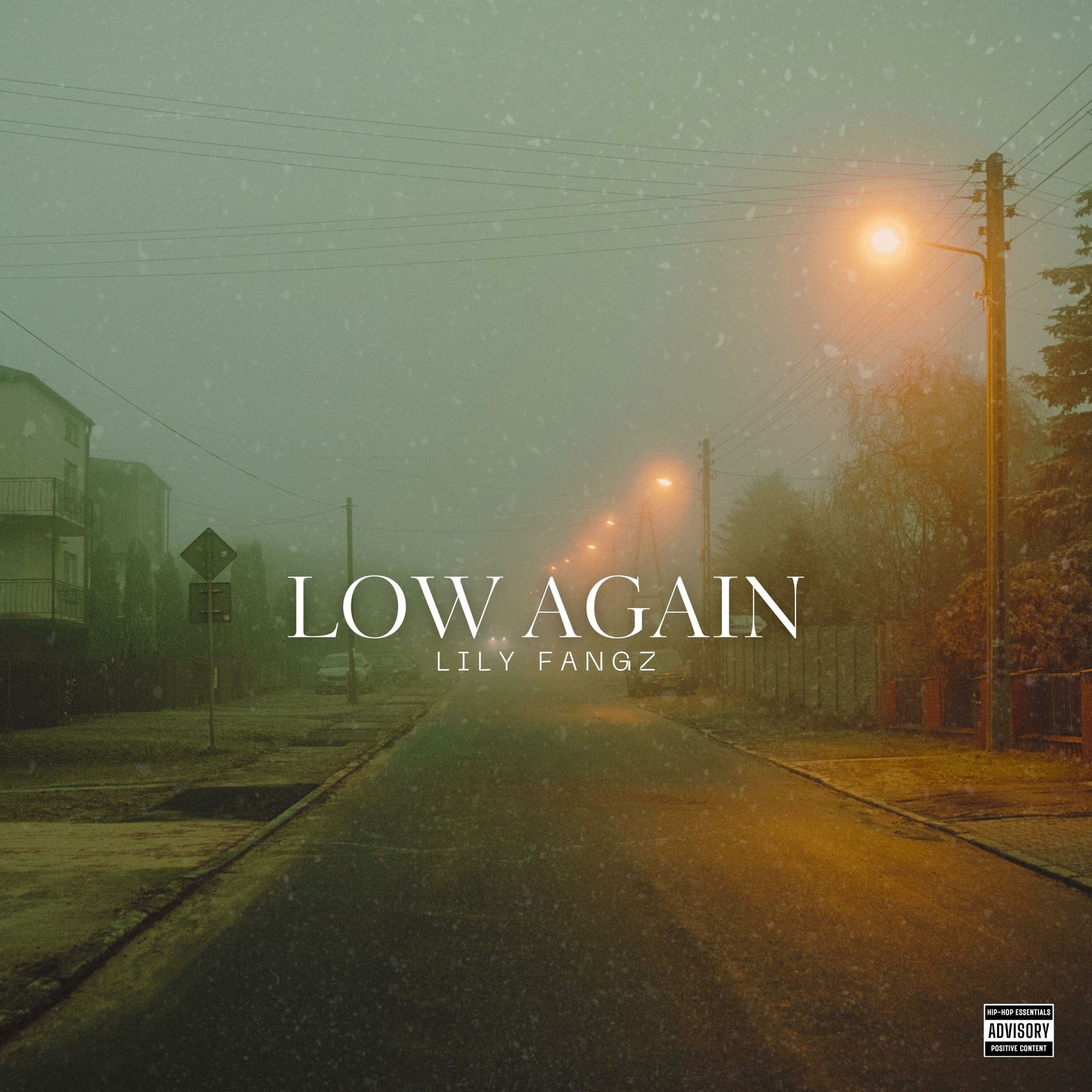 Album cover of Low Again