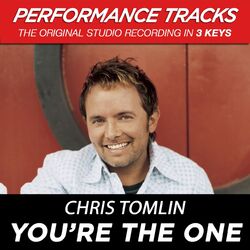 Cover of You're The One (Performance Tracks)