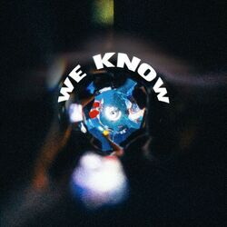 Cover of We Know