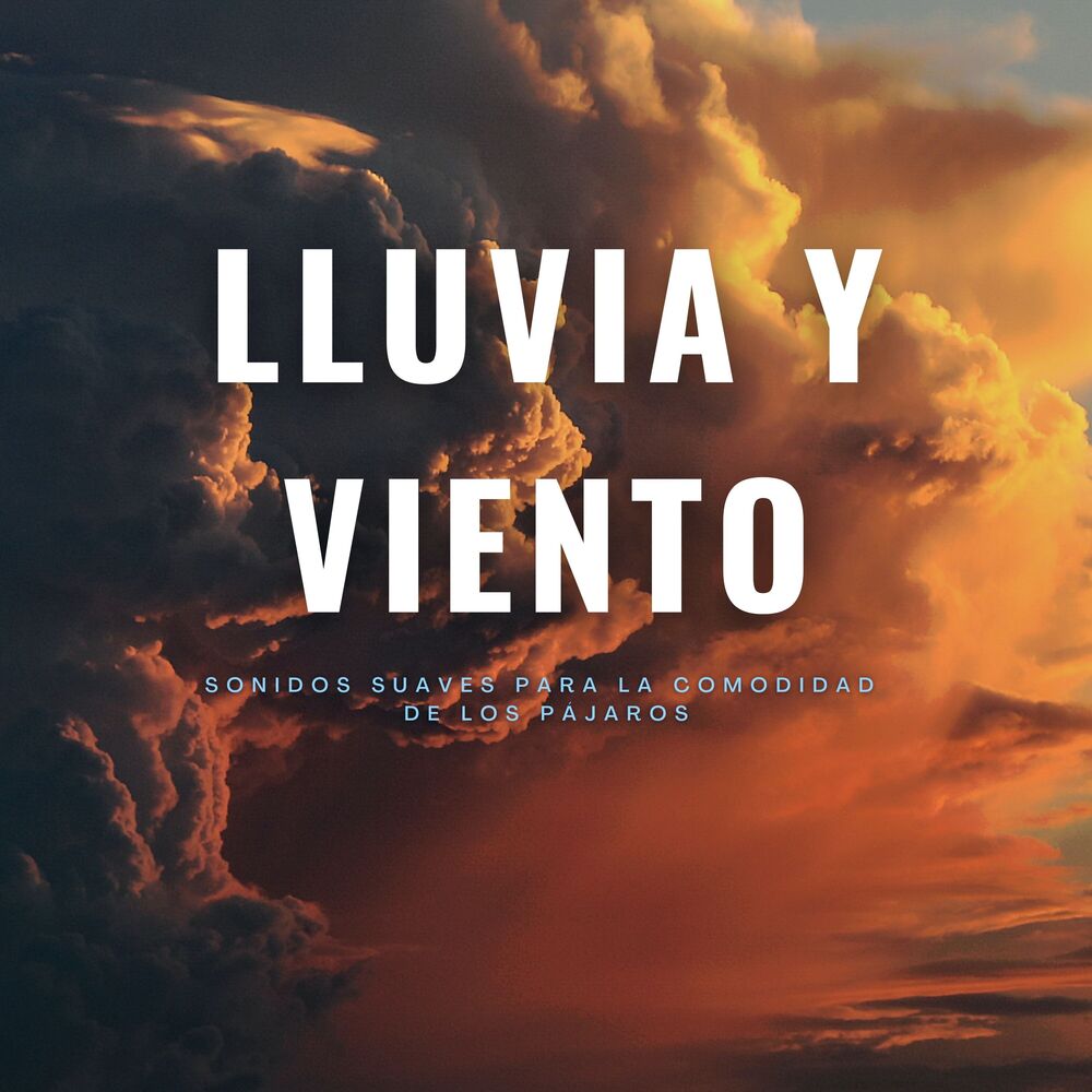 Picture of Lluvia Y Viento: Sonidos Suaves Para La Comodidad De Los Pájaros