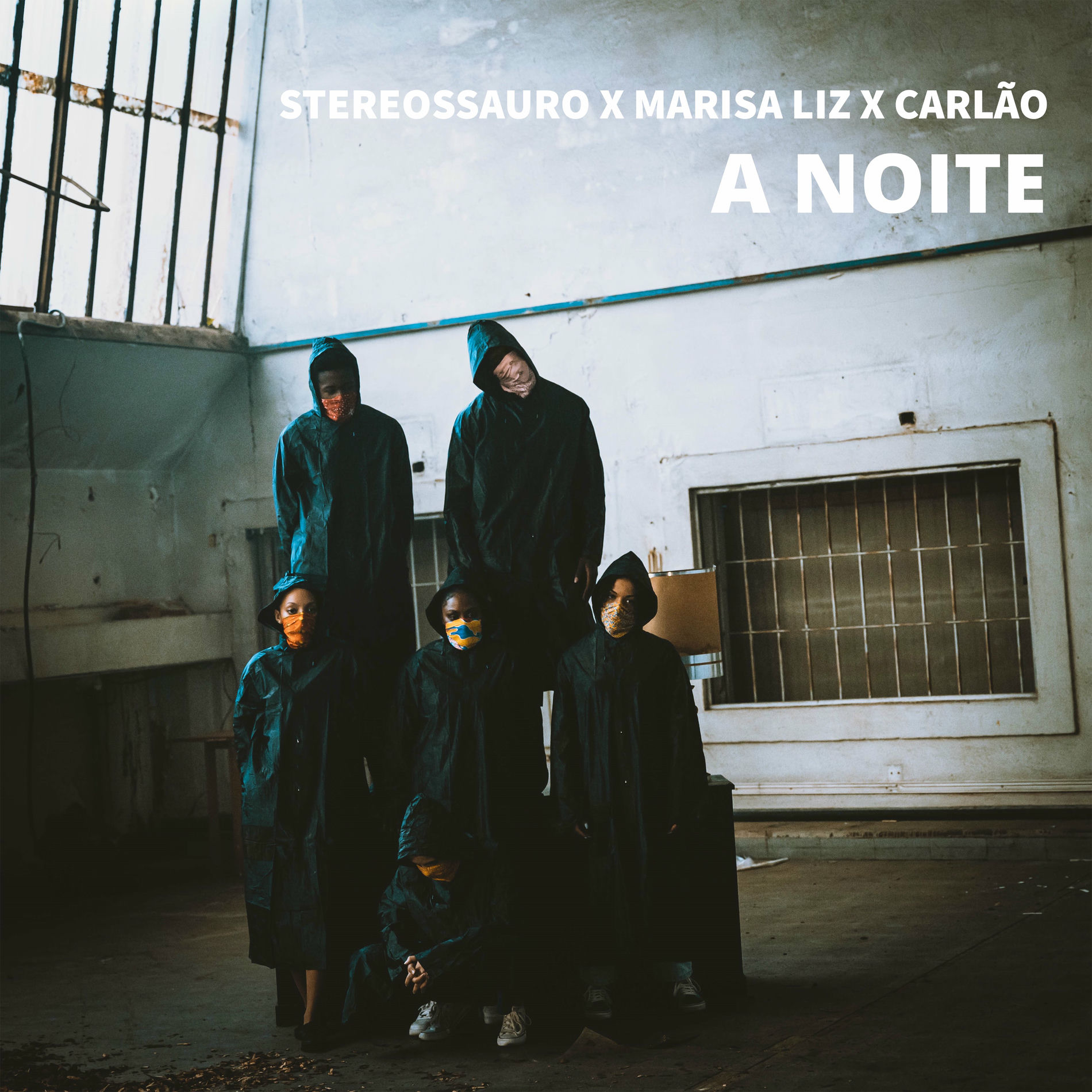 Album cover of A Noite