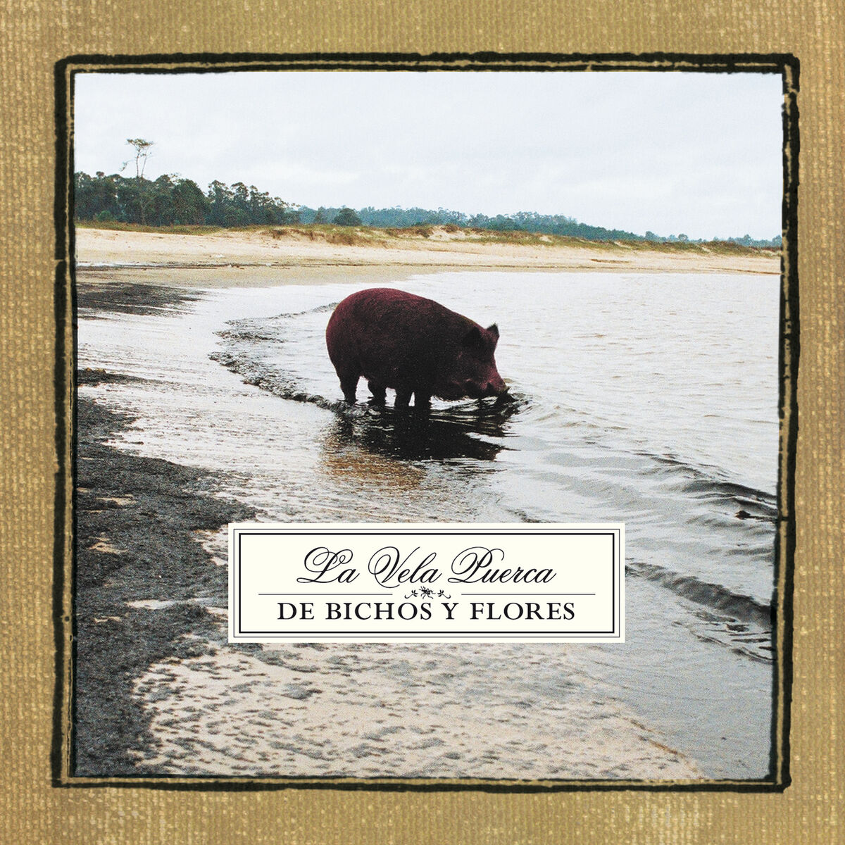 Album cover of El Viejo