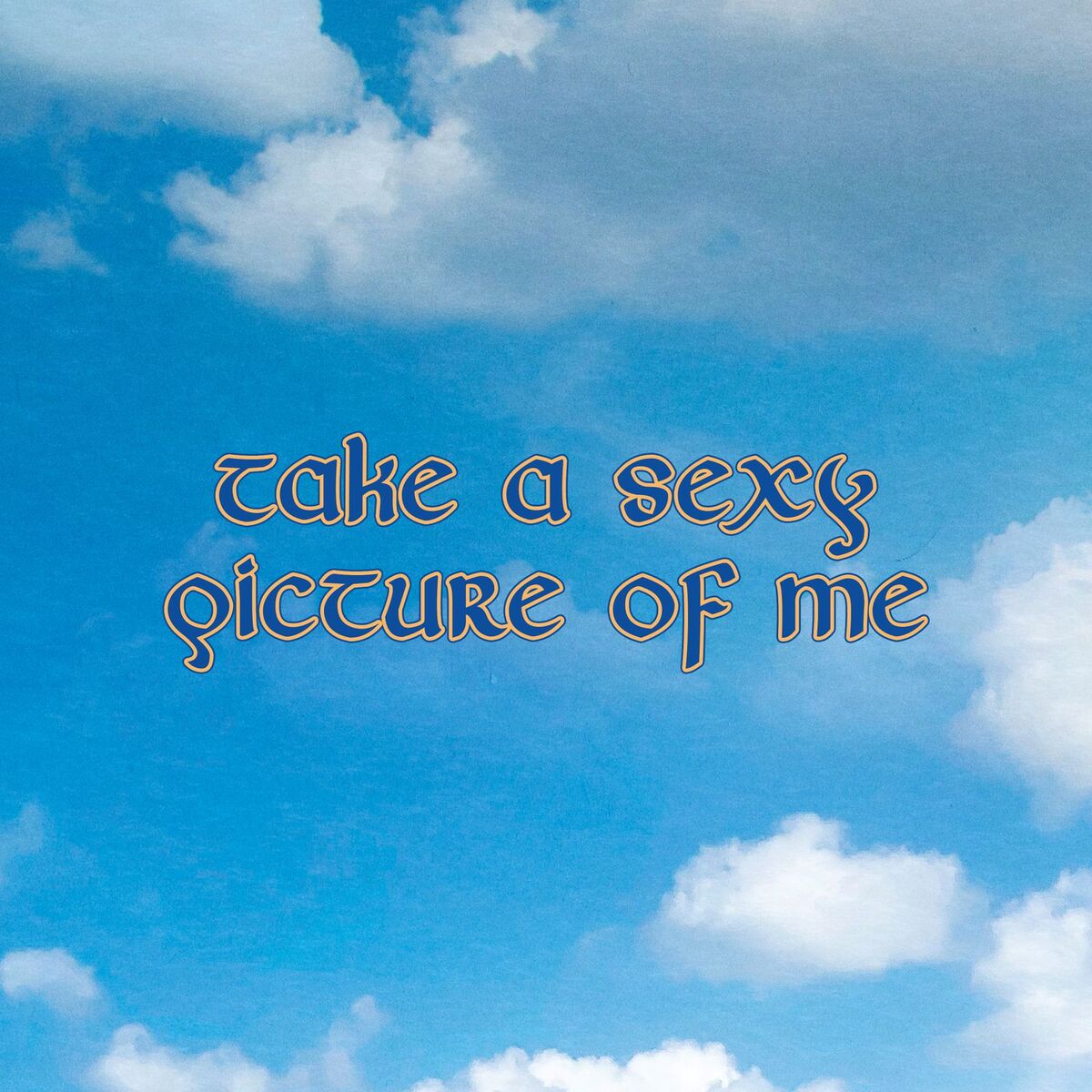 Album cover of Take A Sexy Picture Of Me