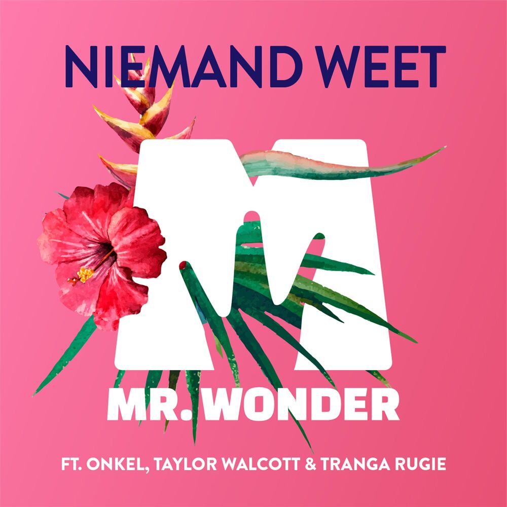 Picture of Niemand Weet