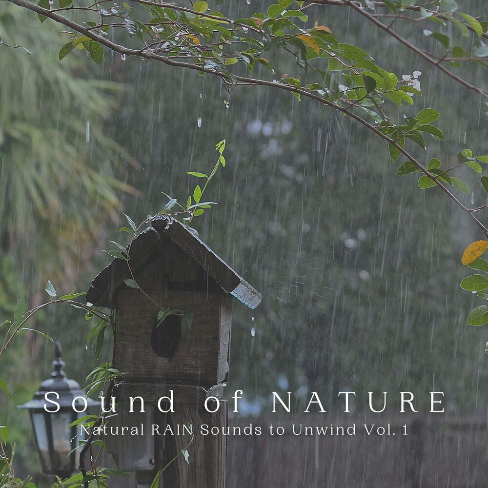 Picture of Sound of NATURE: Natural RAIN Sounds to Unwind Vol. 1