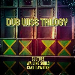 Cover of Dub Wise Trilogy