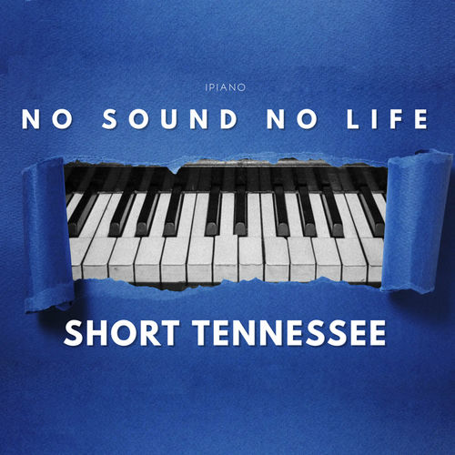 No Sound No Life