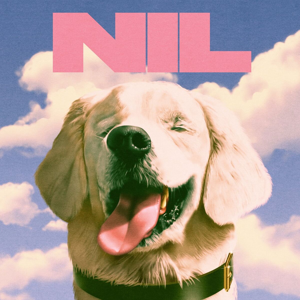 Album cover of Fuck Art