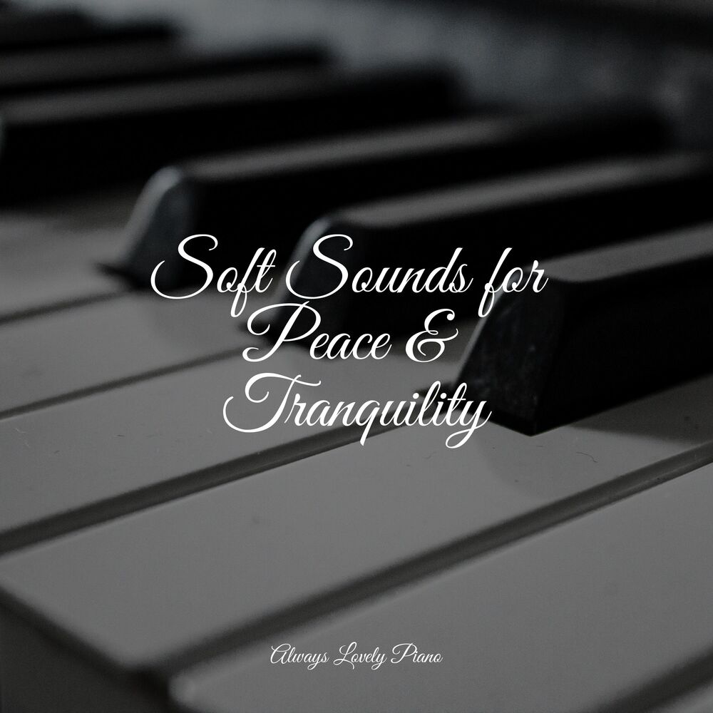 Picture of 50 Calming Sounds for Inducing Serenity