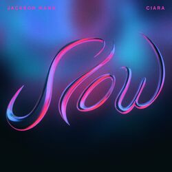 Cover of Slow