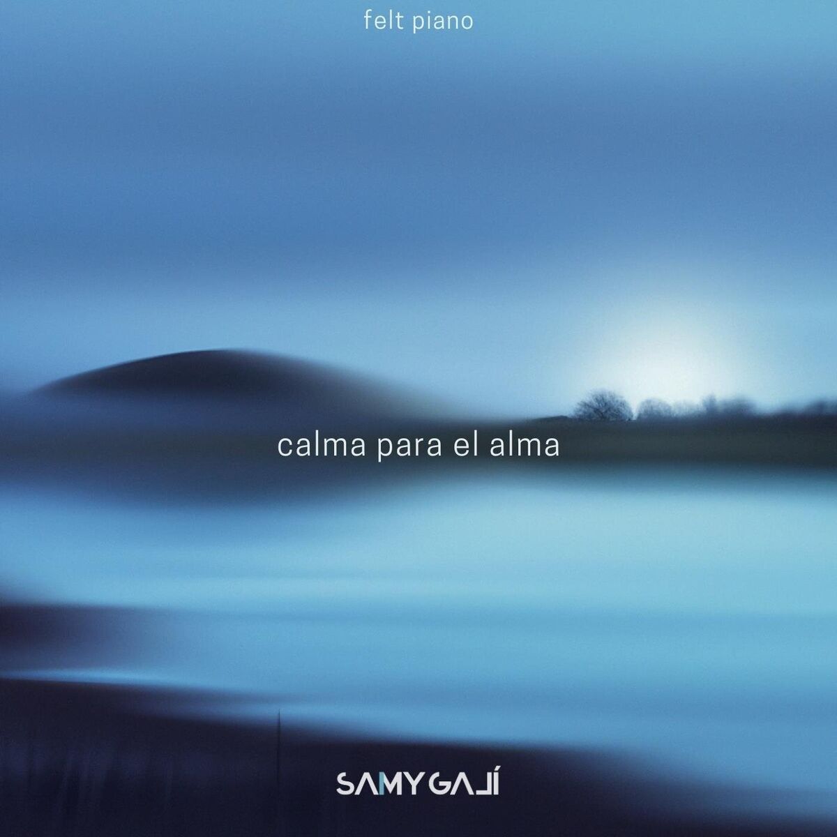 Album cover of Una Calma Eterna (Felt Piano)