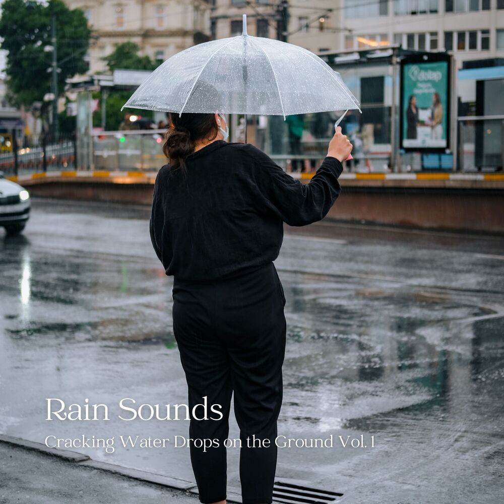 Picture of Rain Sounds: Cracking Water Drops on the Ground Vol. 1
