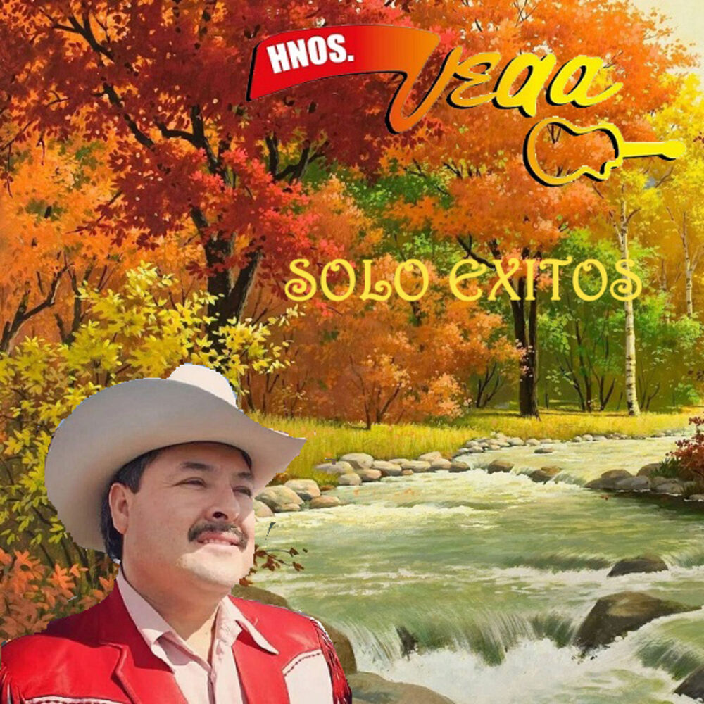 Picture of Solo Exitos