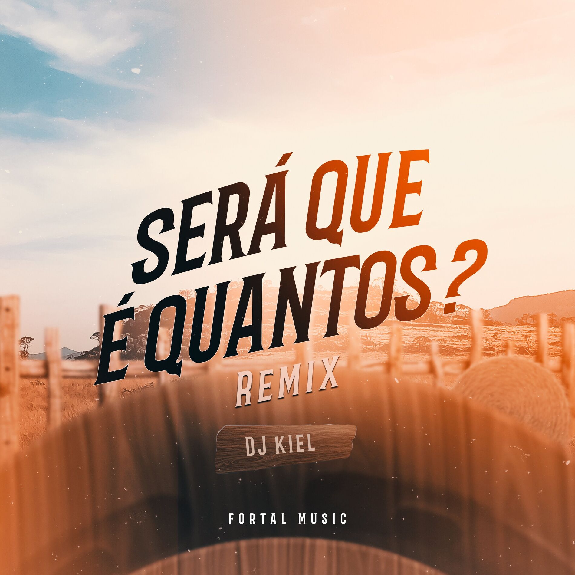 Album cover of Será Que é Quantos (Remix)