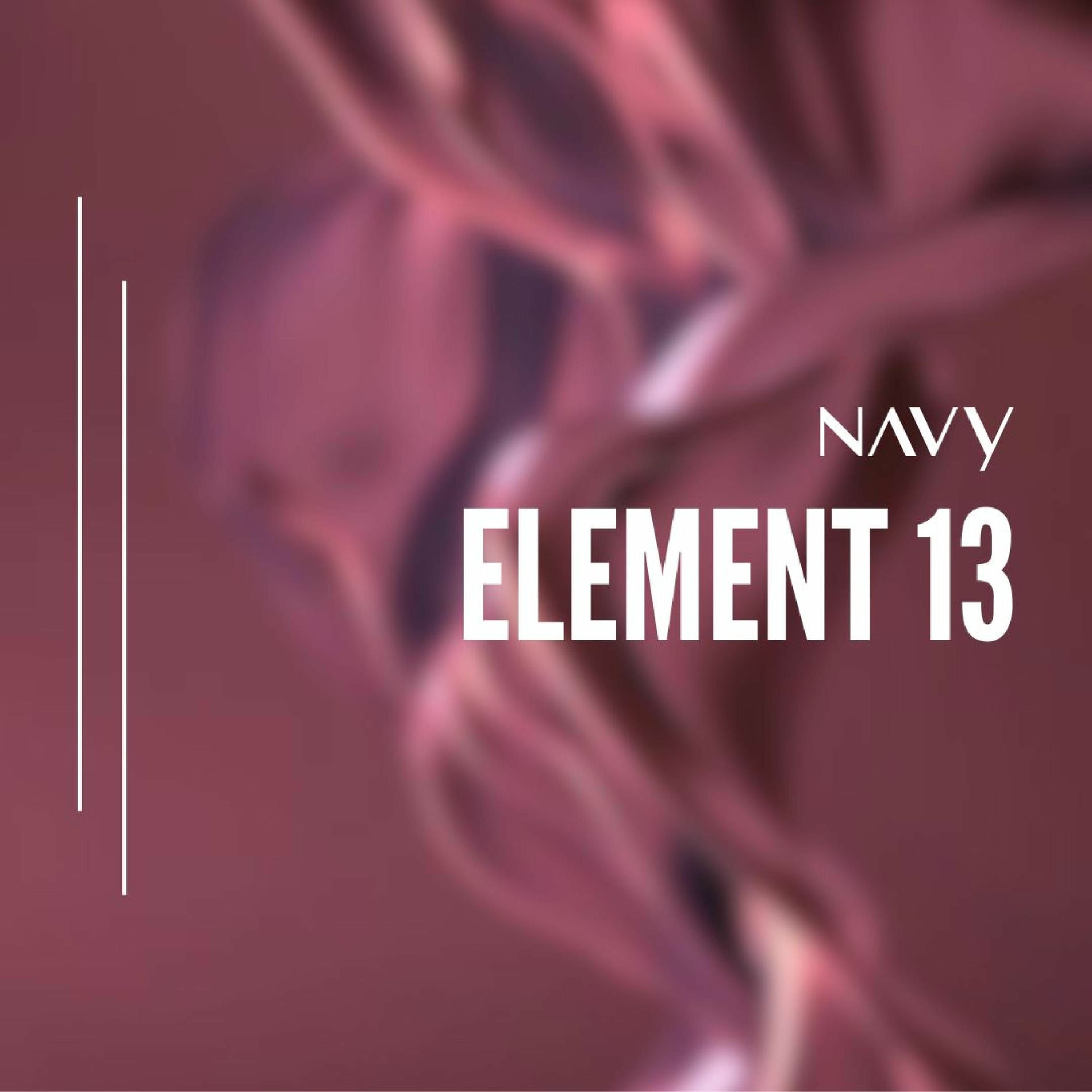 Album cover of Element 13