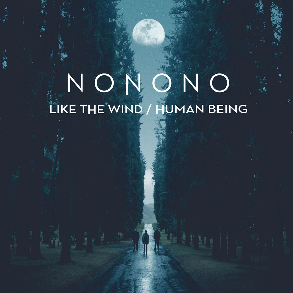 Album cover of Like the Wind