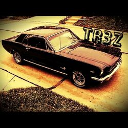 Cover of TR3Z