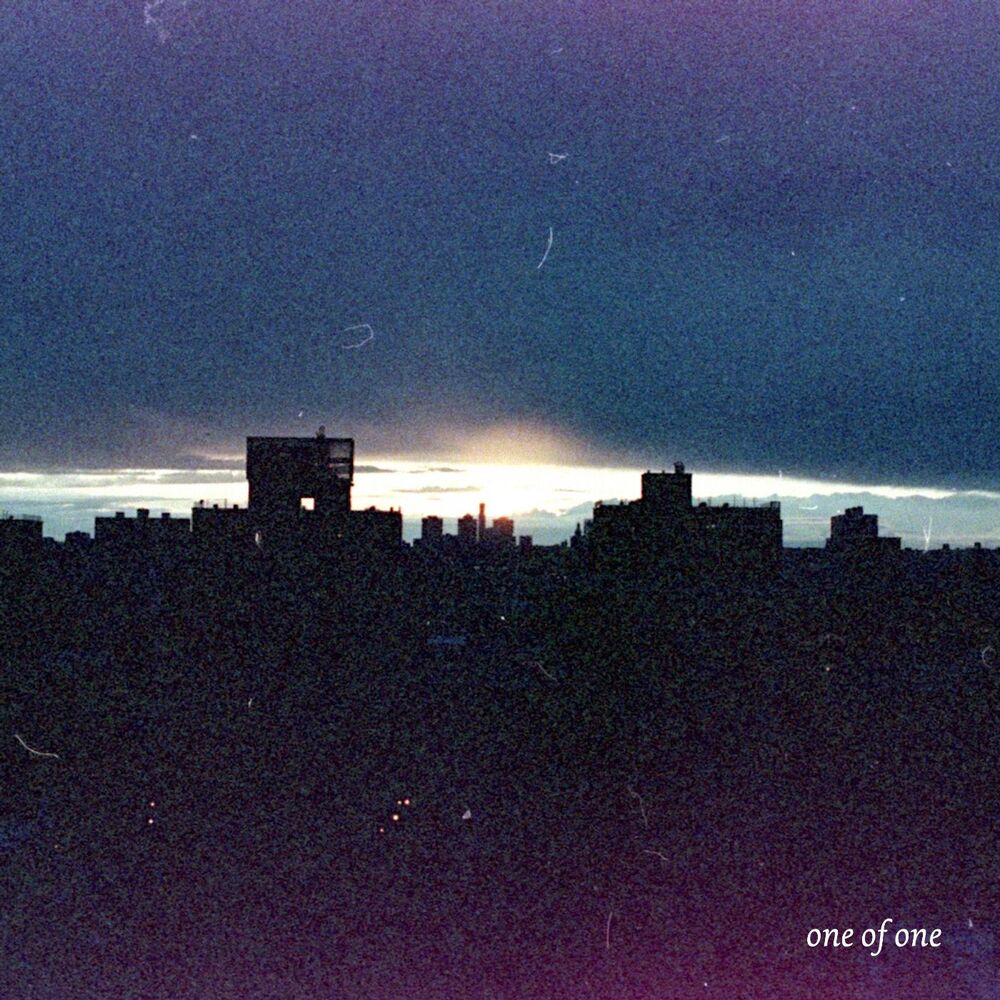 Picture of One of One