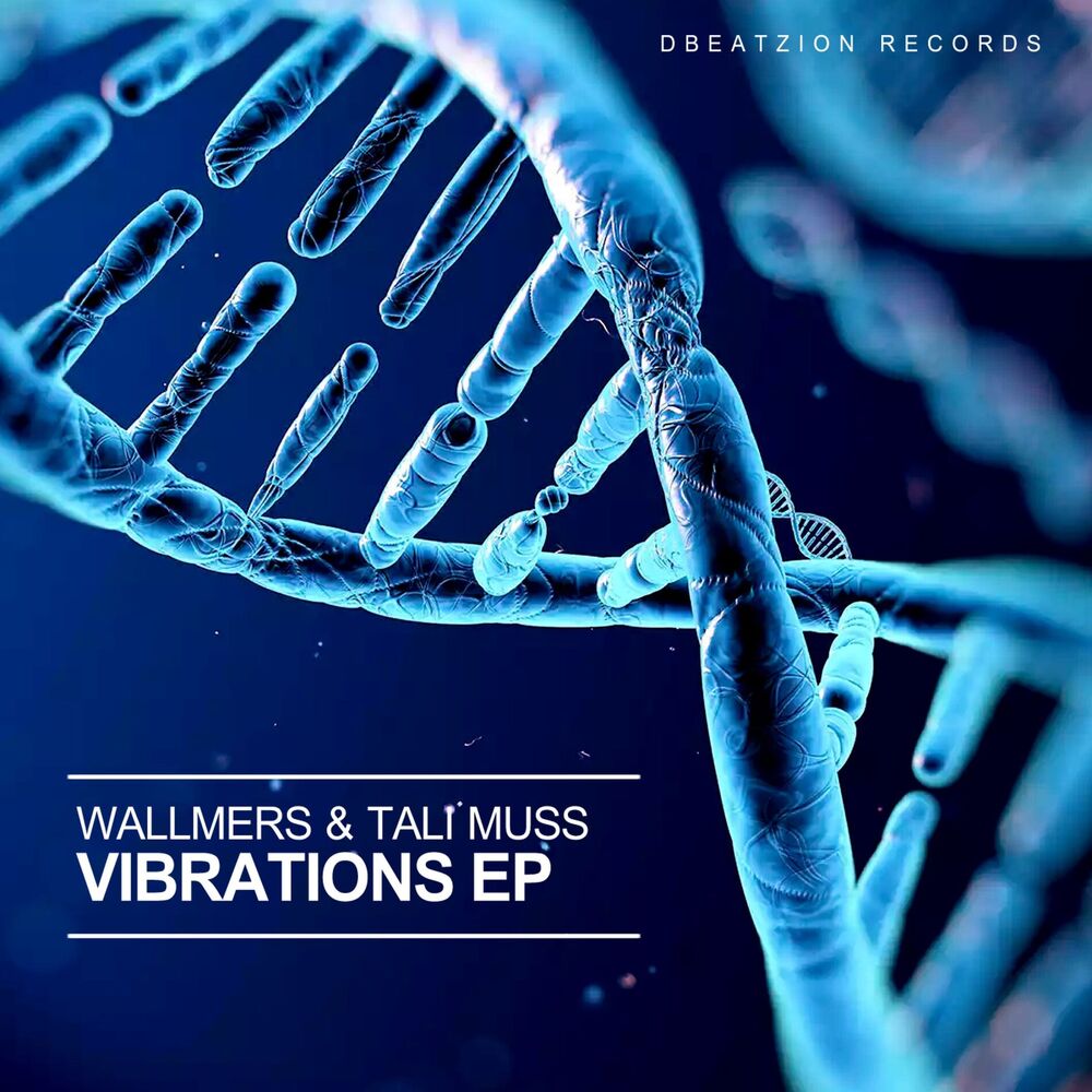 Picture of Vibrations