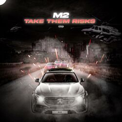Cover of Take Them Risks