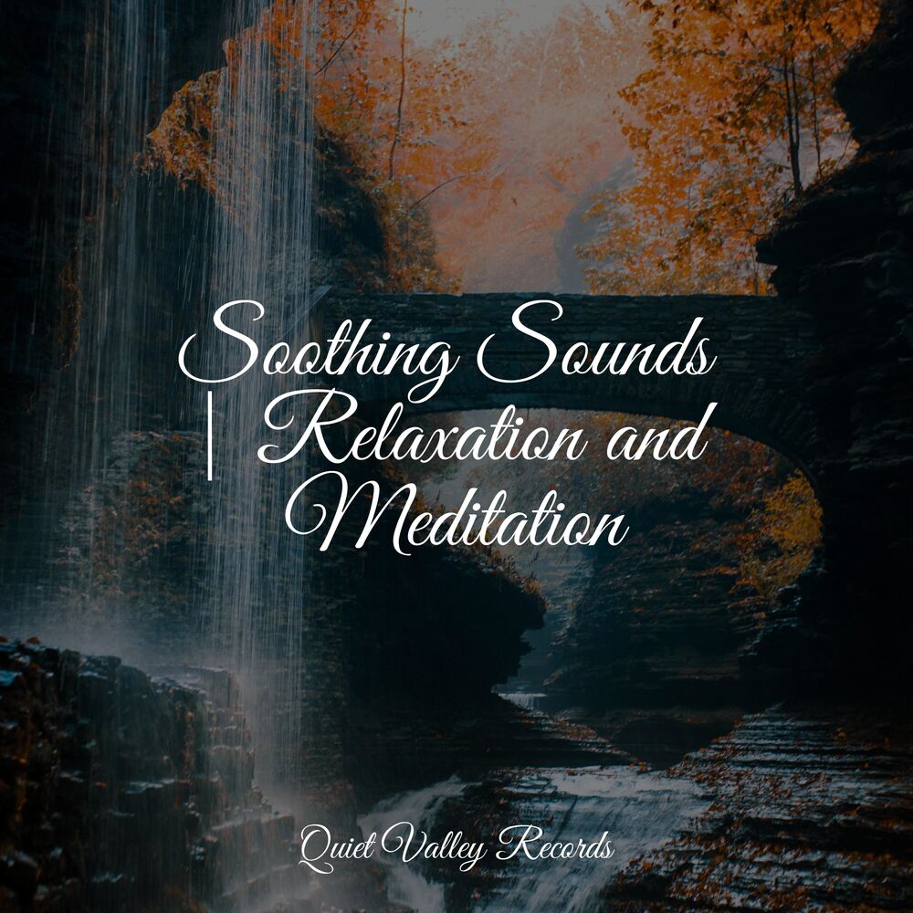 Picture of Soothing Sounds | Relaxation and Meditation
