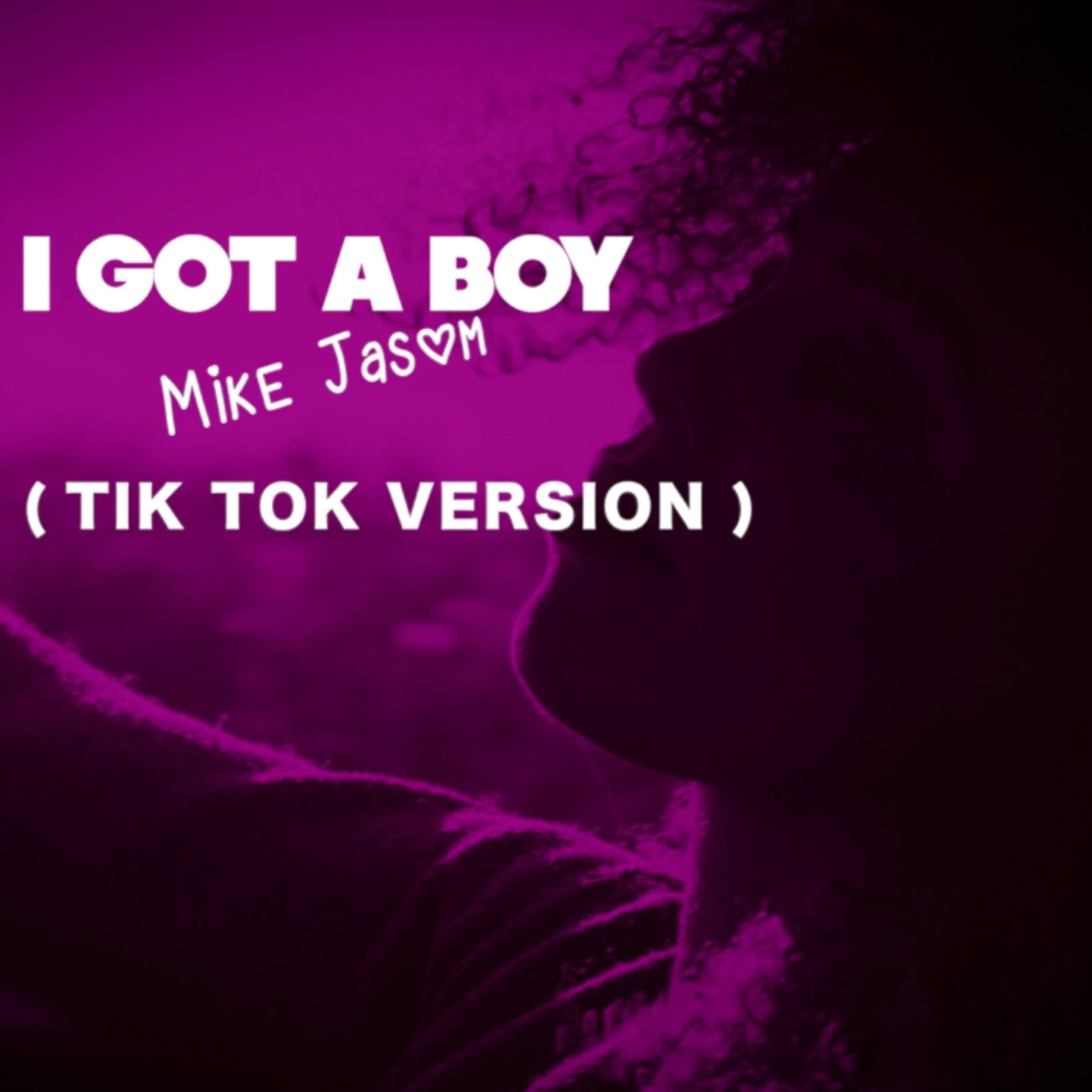 Album cover of I GOT A BOY (TIK TOK VERSION)
