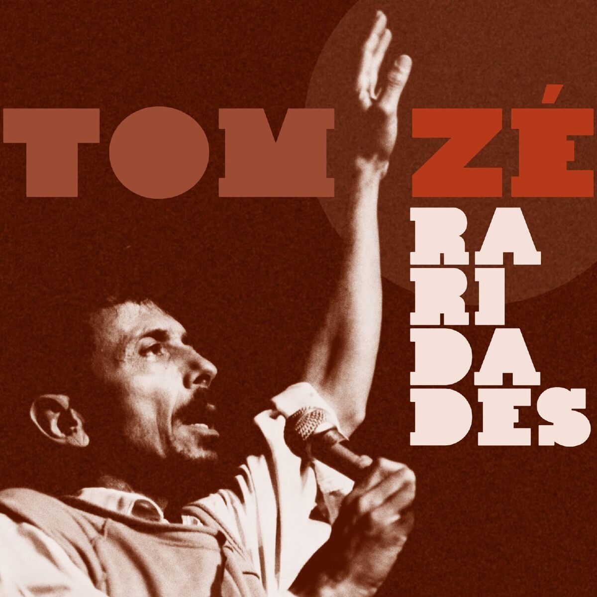 Album cover of Raridades